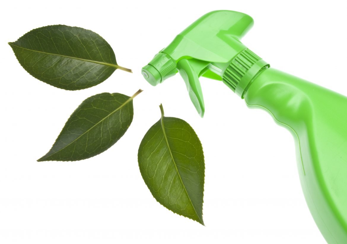 Switching to Green Cleaning: Easy Steps for a Sustainable Home in 2026